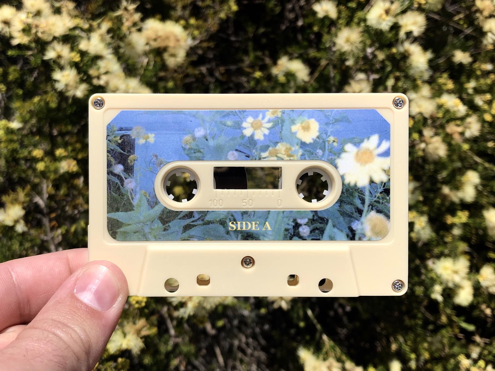 Dulcie - 'Fall / Own Ground' Cassette