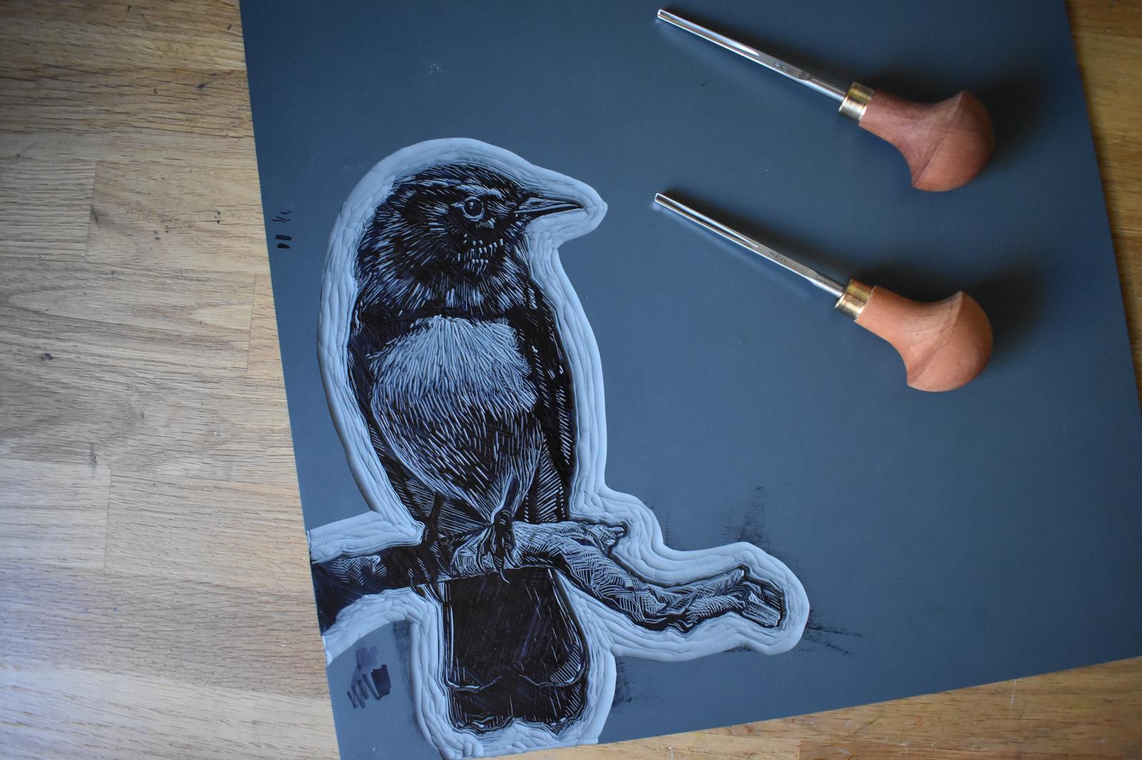 Willie Wagtail Lino Carving in Progress
