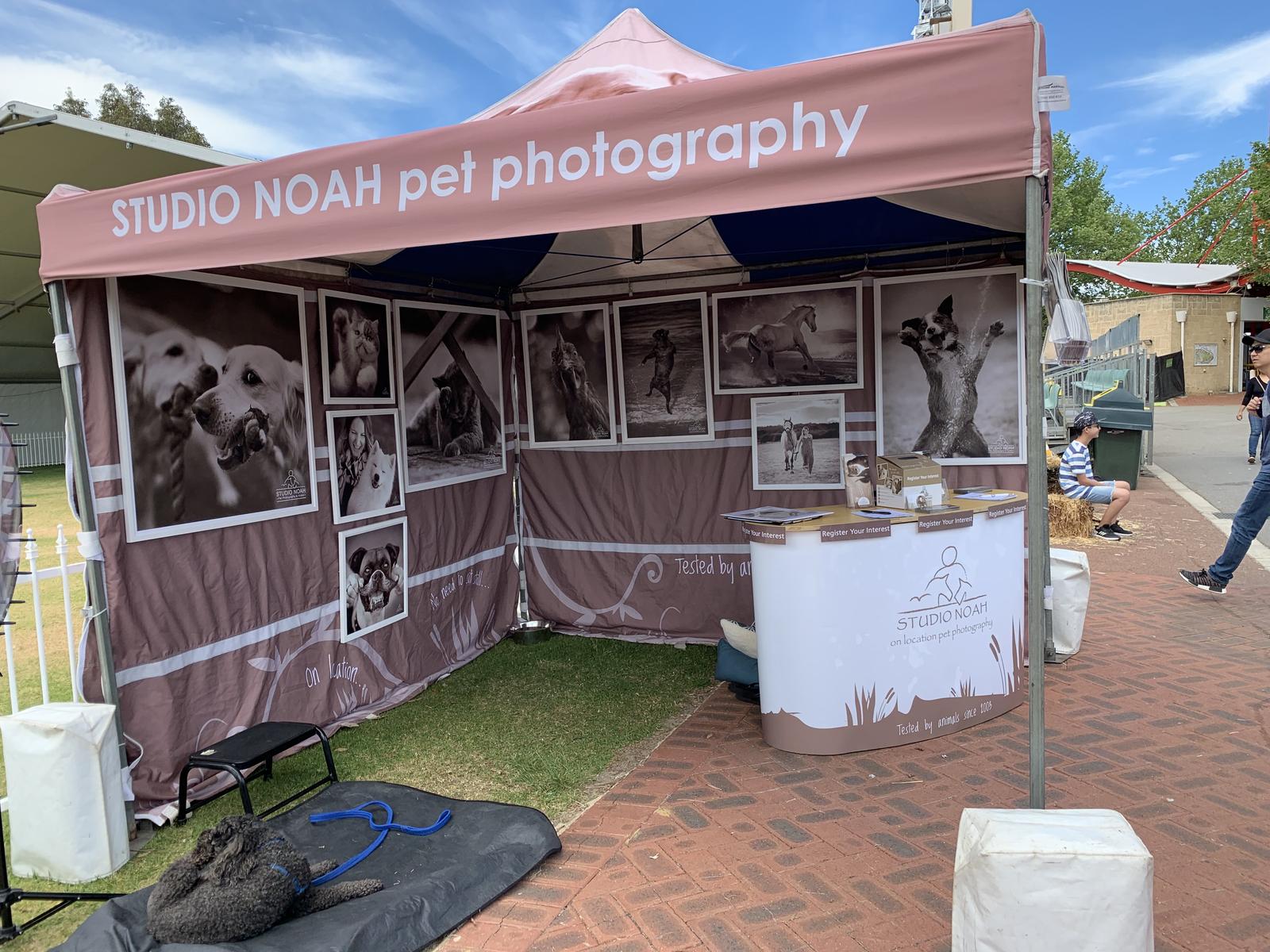 Studio Noah Pet Photography marquee