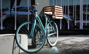 Svelto Bikes