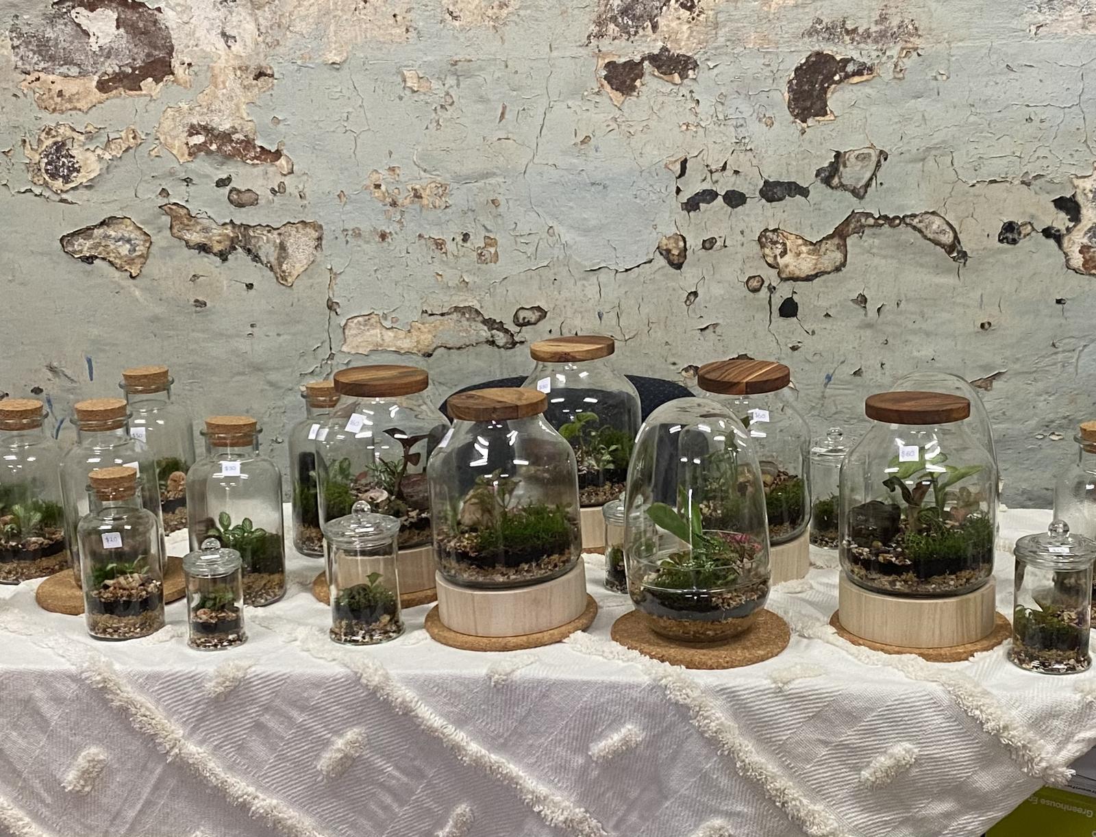 Tanya’s Terrariums Market stall