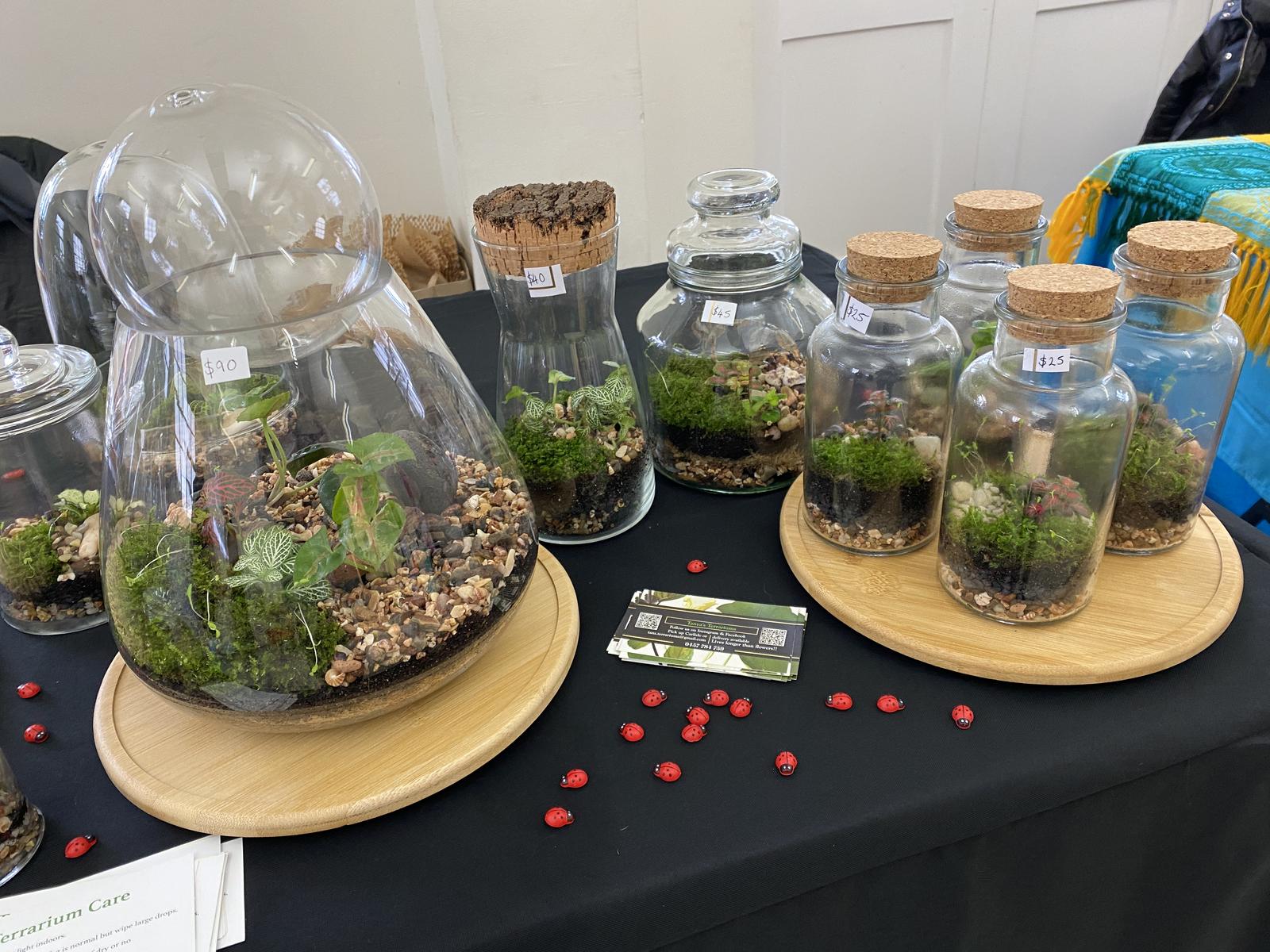 Tanya’s Terrariums Makers Market stall