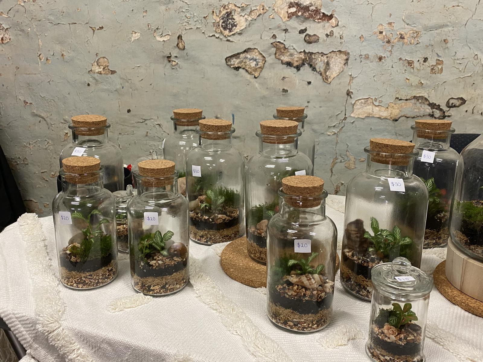 Tanya’s Terrariums Makers Market stall