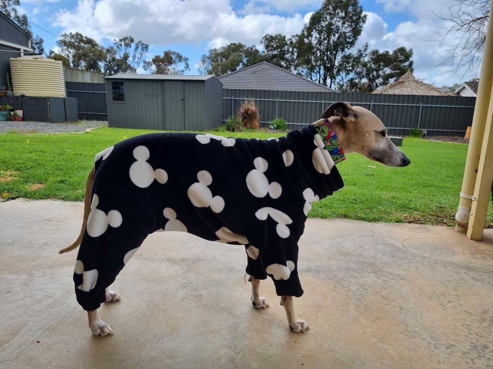 4 Legged PJS - Dog