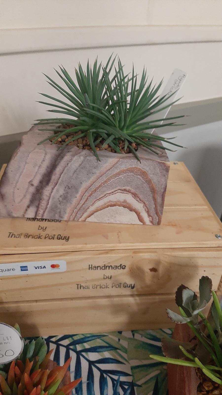 That Brick Pot Guy