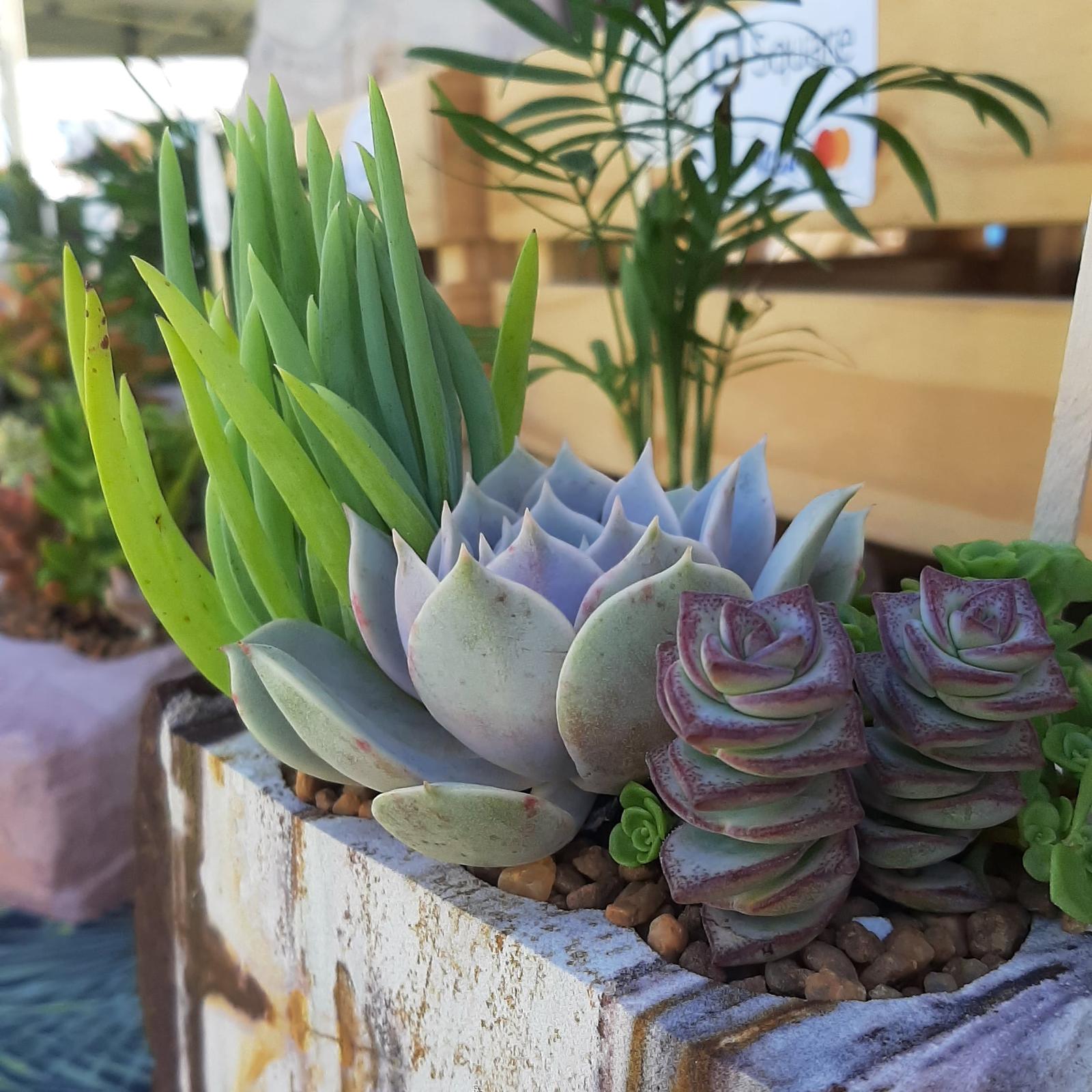 That Brick Pot Guy