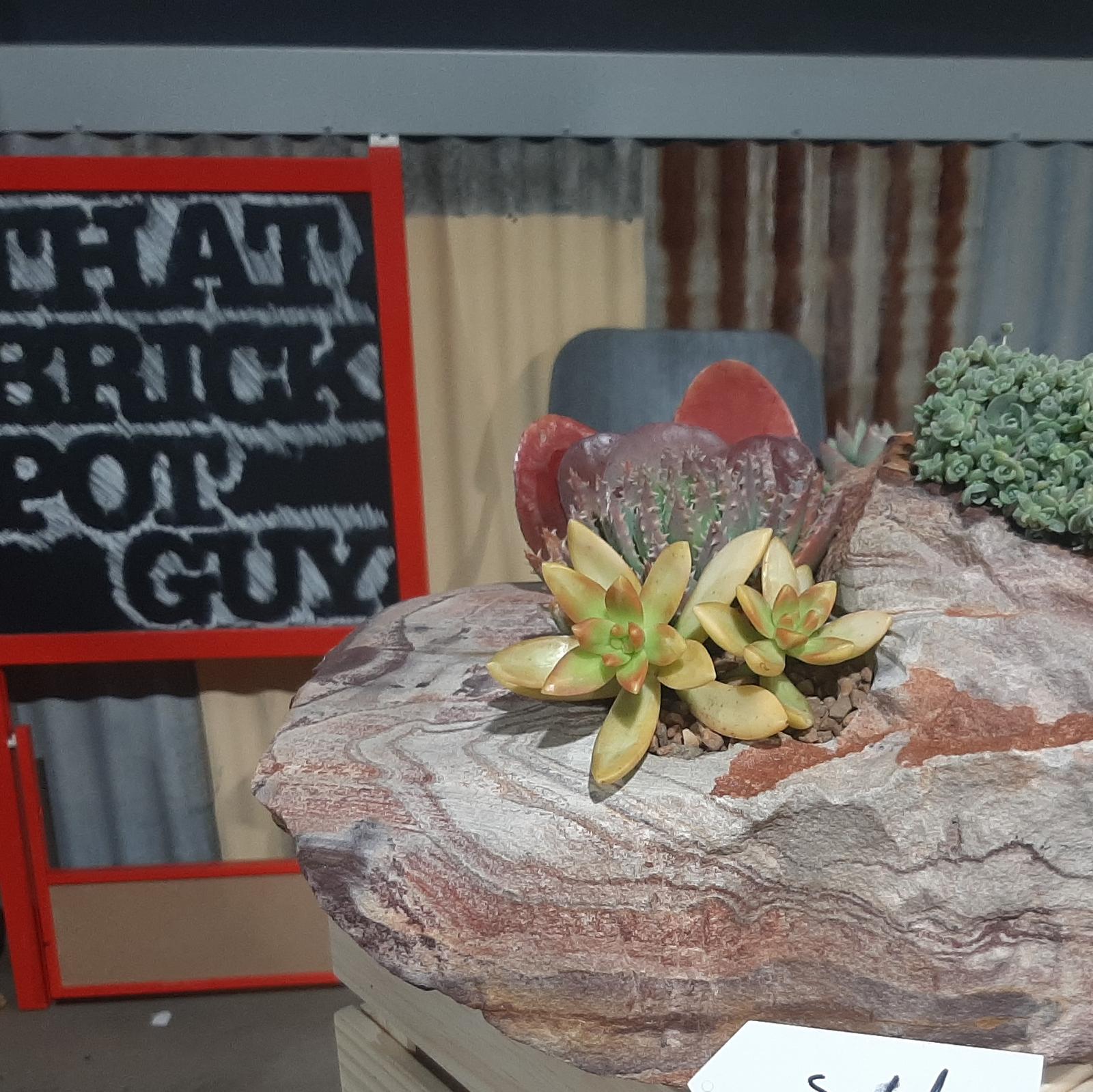 That Brick Pot Guy