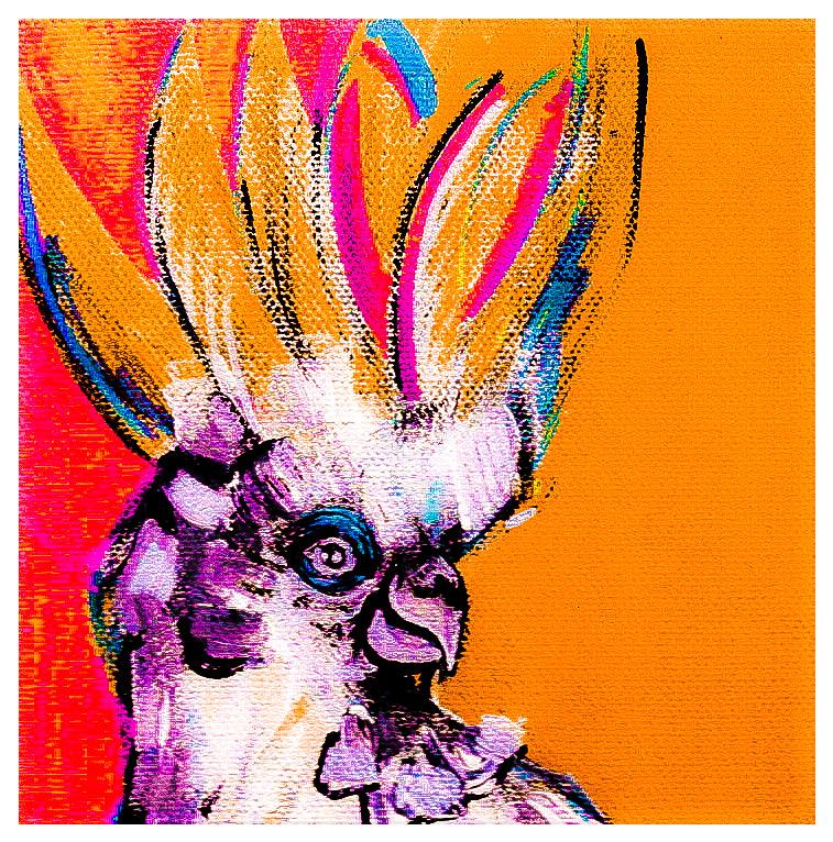 Print - White Cockatoo