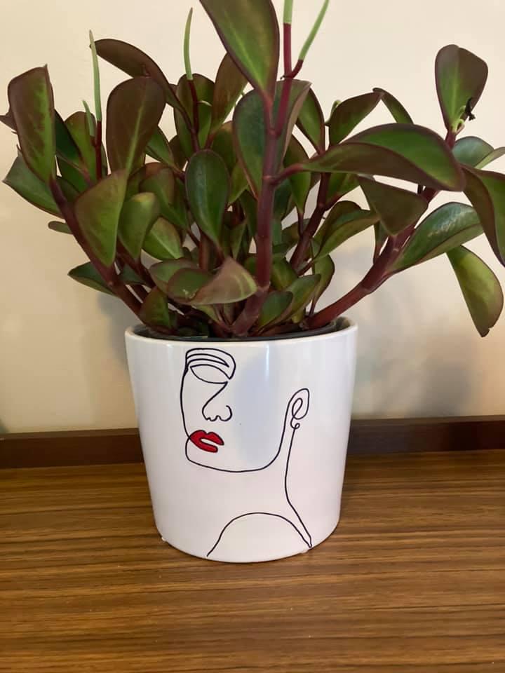 Hand Drawn Pots