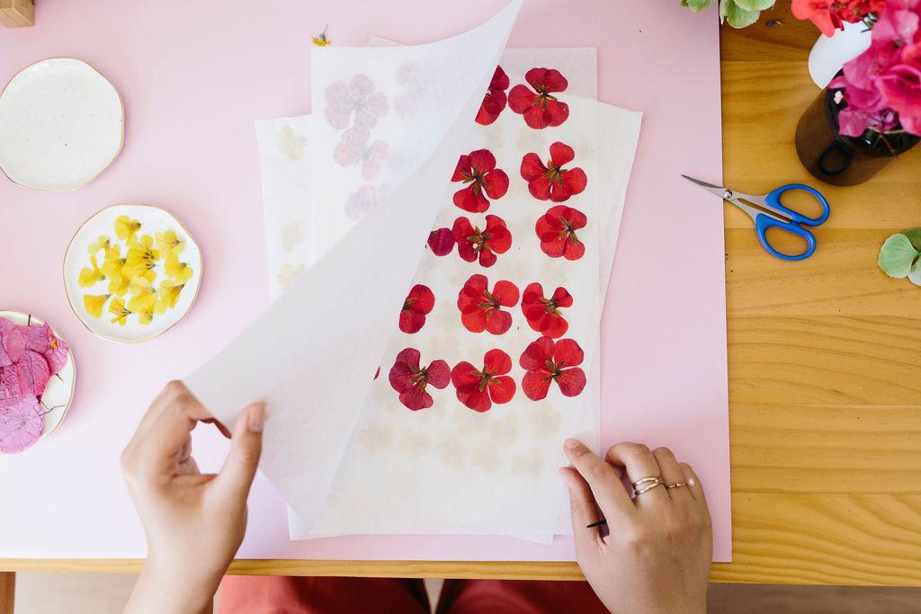 Pressed Geraniums