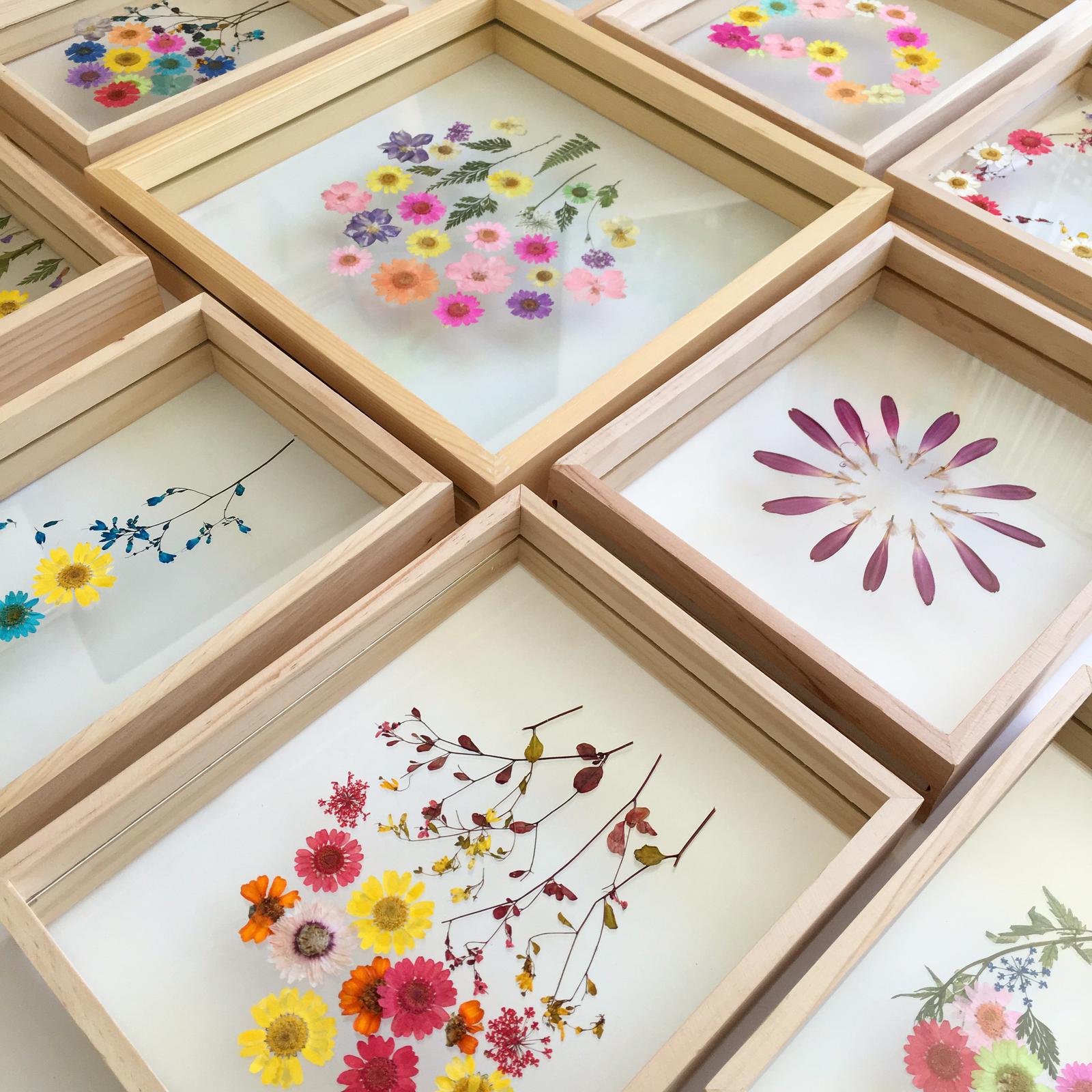 Pressed floral frames