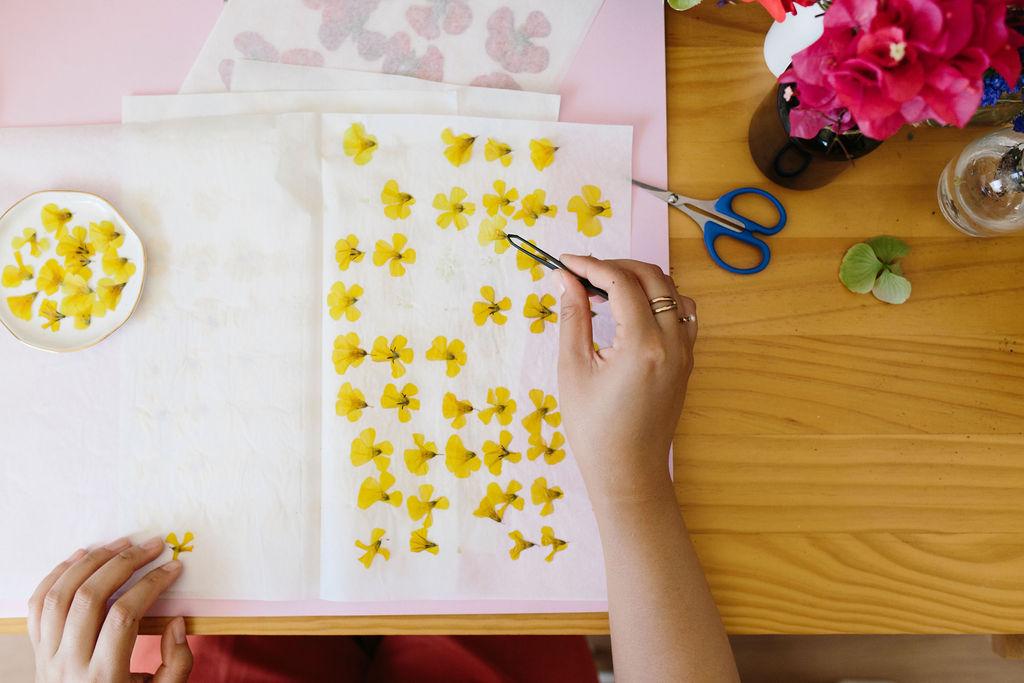Pressing Flowers
