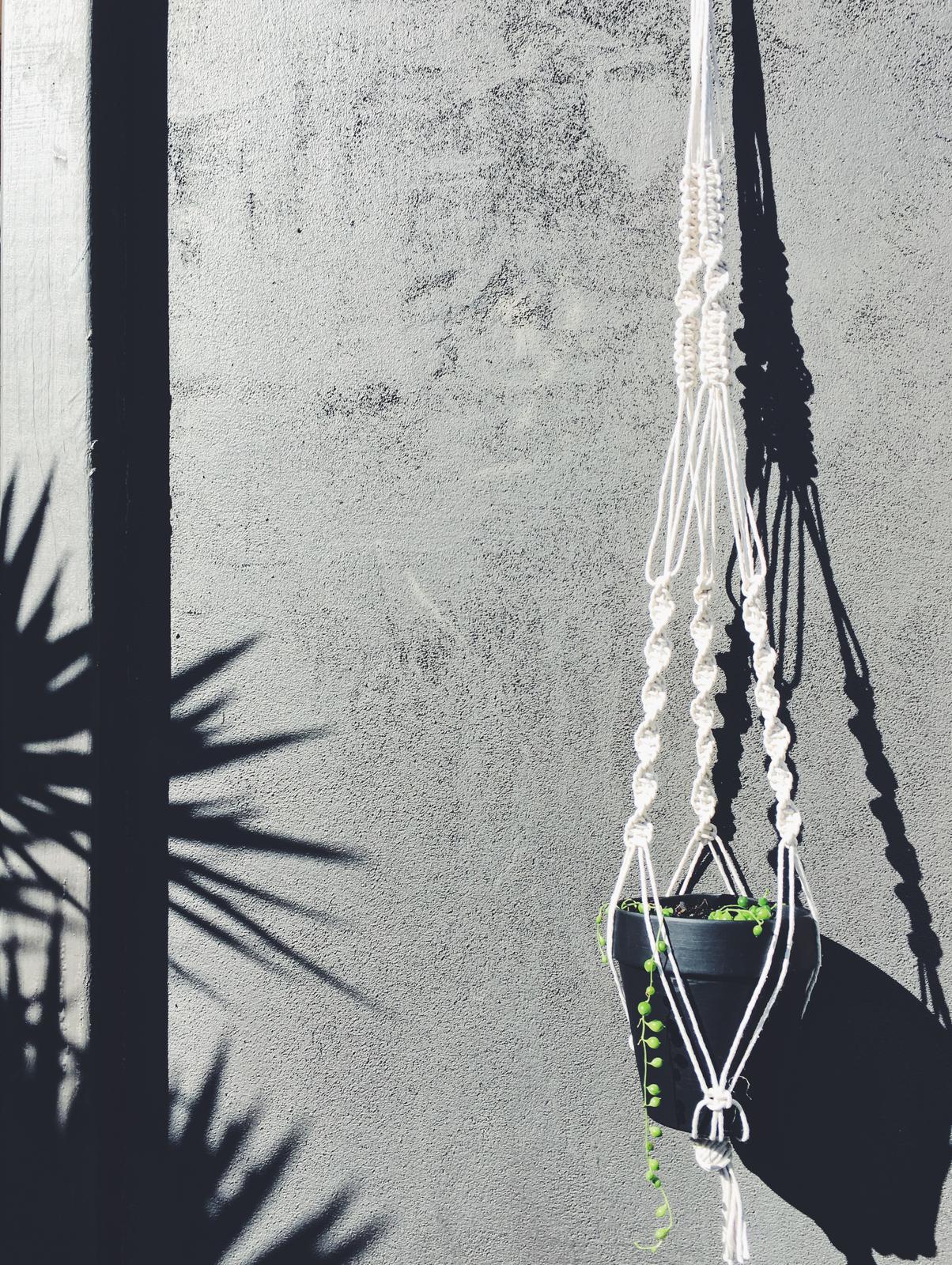 Macrame plant hanger