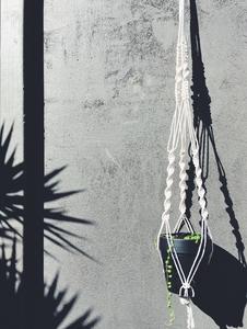 The Hanging Garden