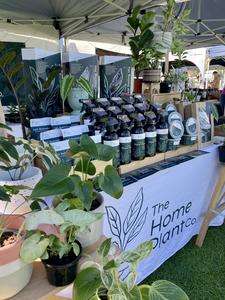 The Home Plant Co