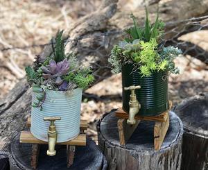 The Little Plant Stall