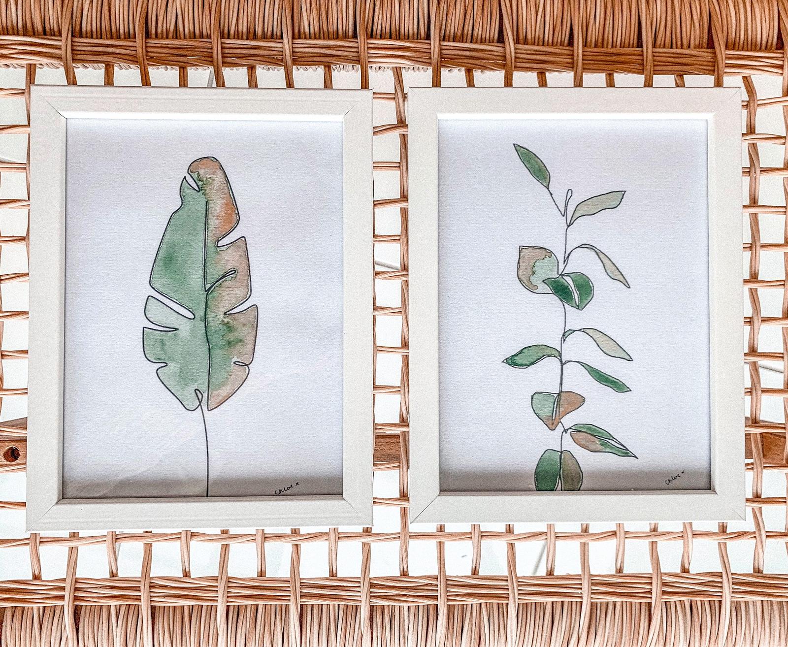 Flora and Fauna