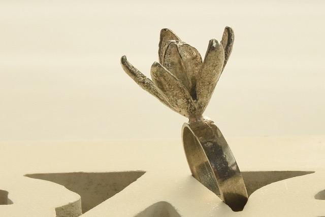 Silver rings designed by nature
