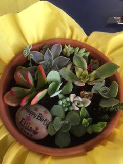 Terrarium