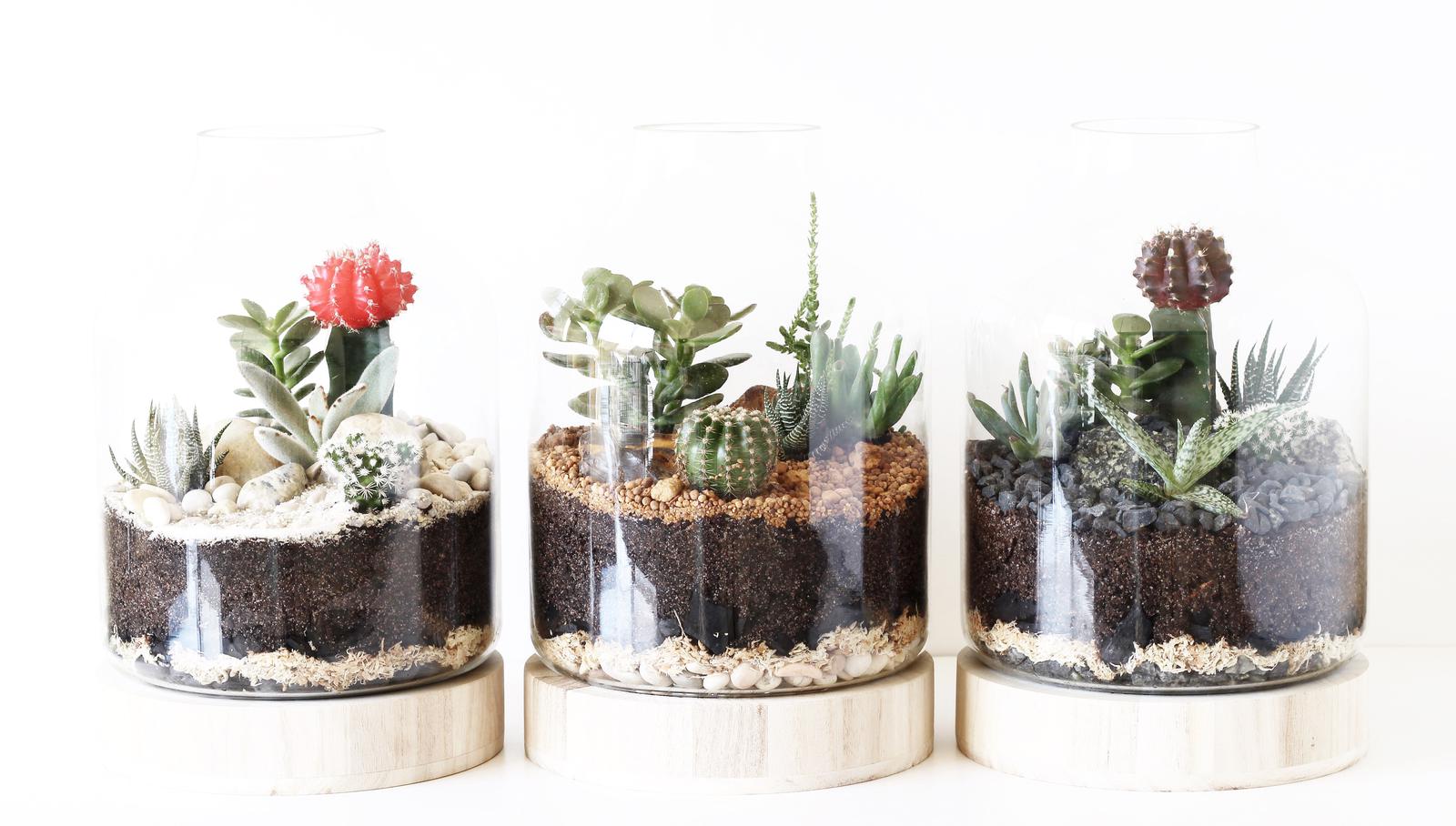 Large terrarium designs