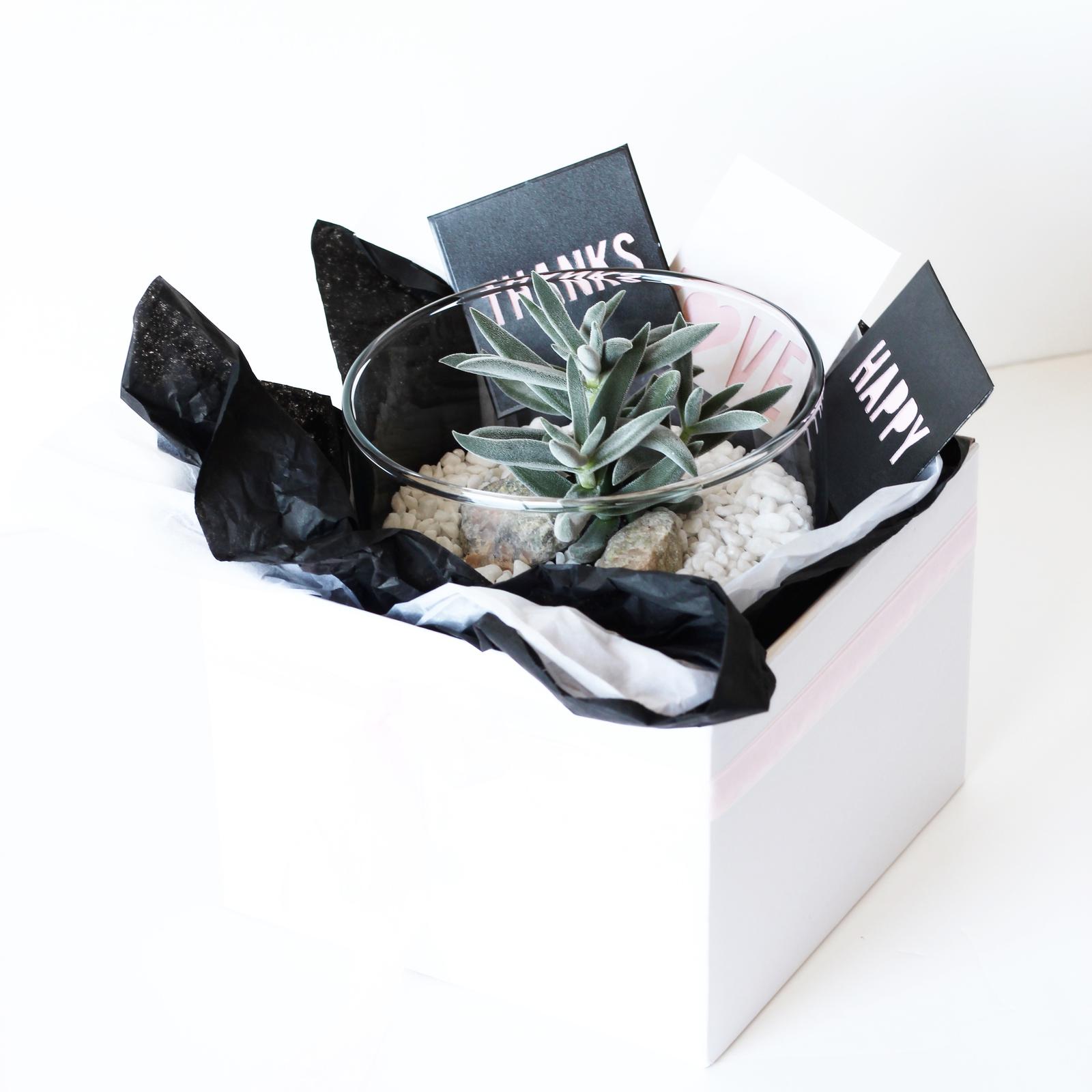 Perfect gift