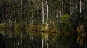 Tom Grasso Photo