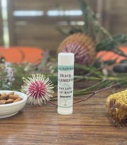 Trace Elements Body
