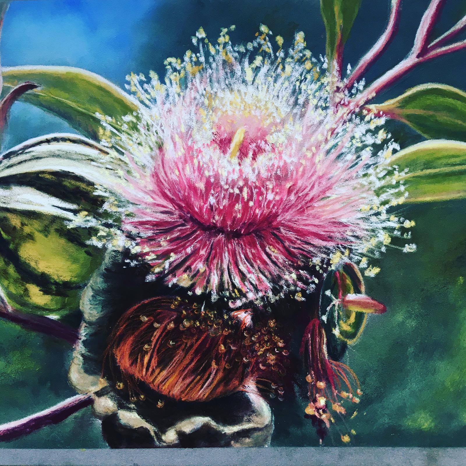 Gum blossom