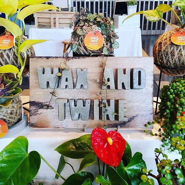 Kokedamas & Soy Candles by Wax & Twine