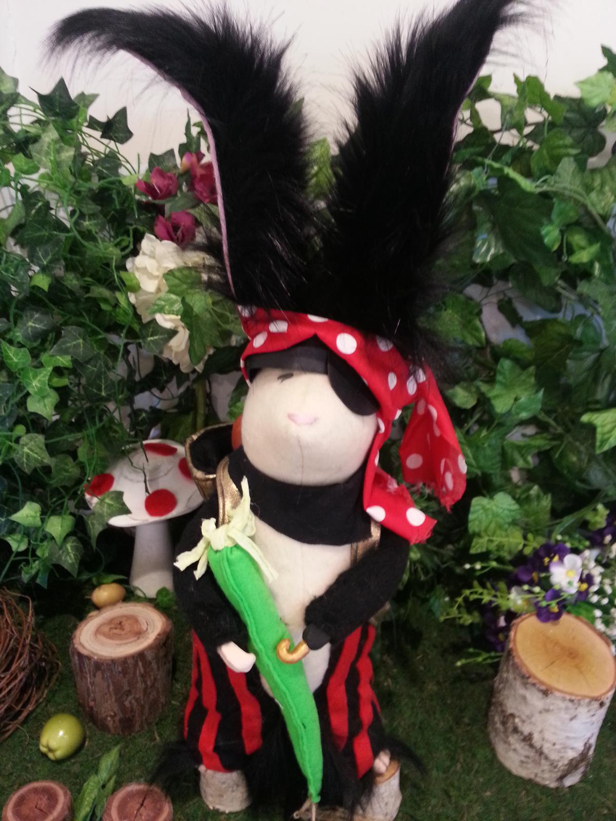 Bongo Pirate rabbit