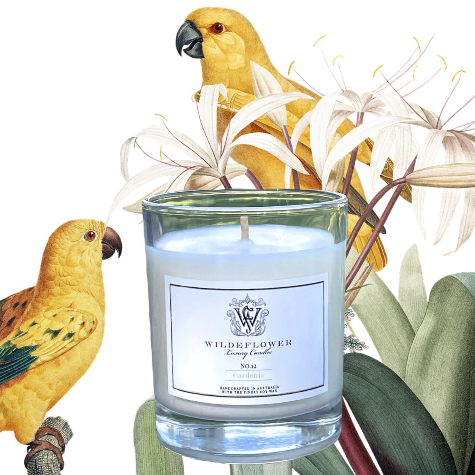 Creative Fragrances
