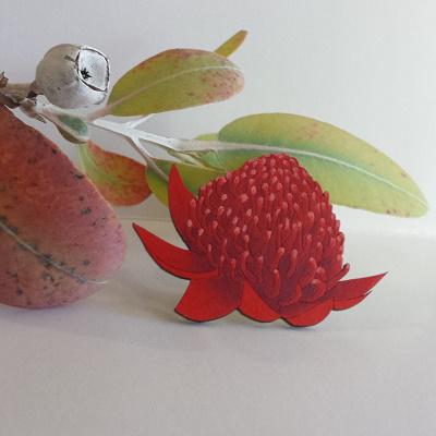 Waratah Brooch