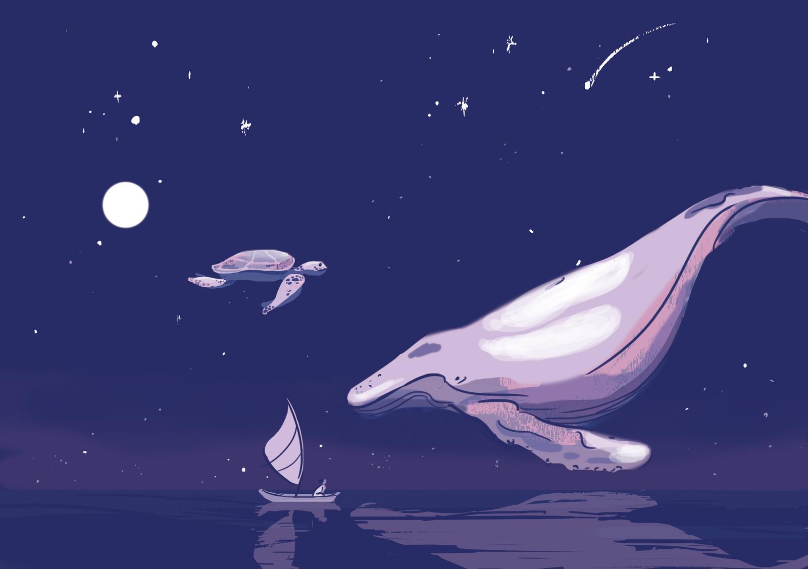Whale Watching