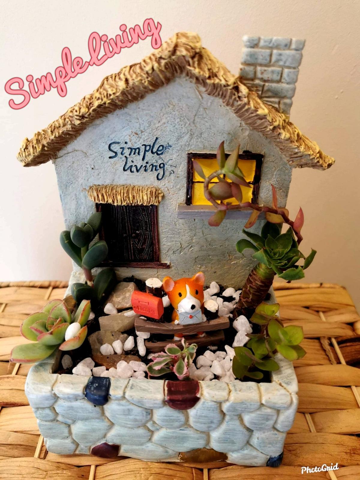 house planter with succulents