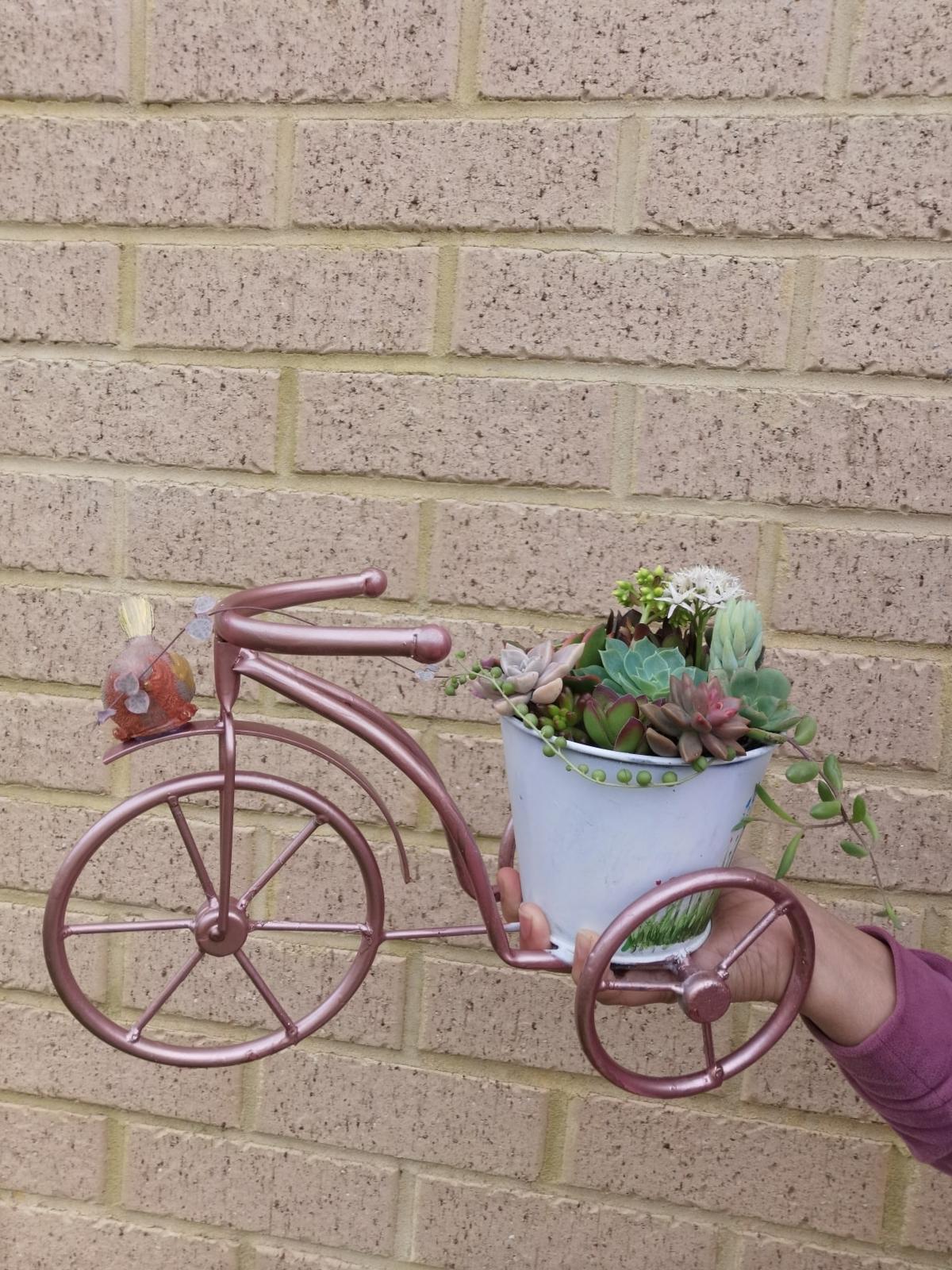 bike planter with succulent