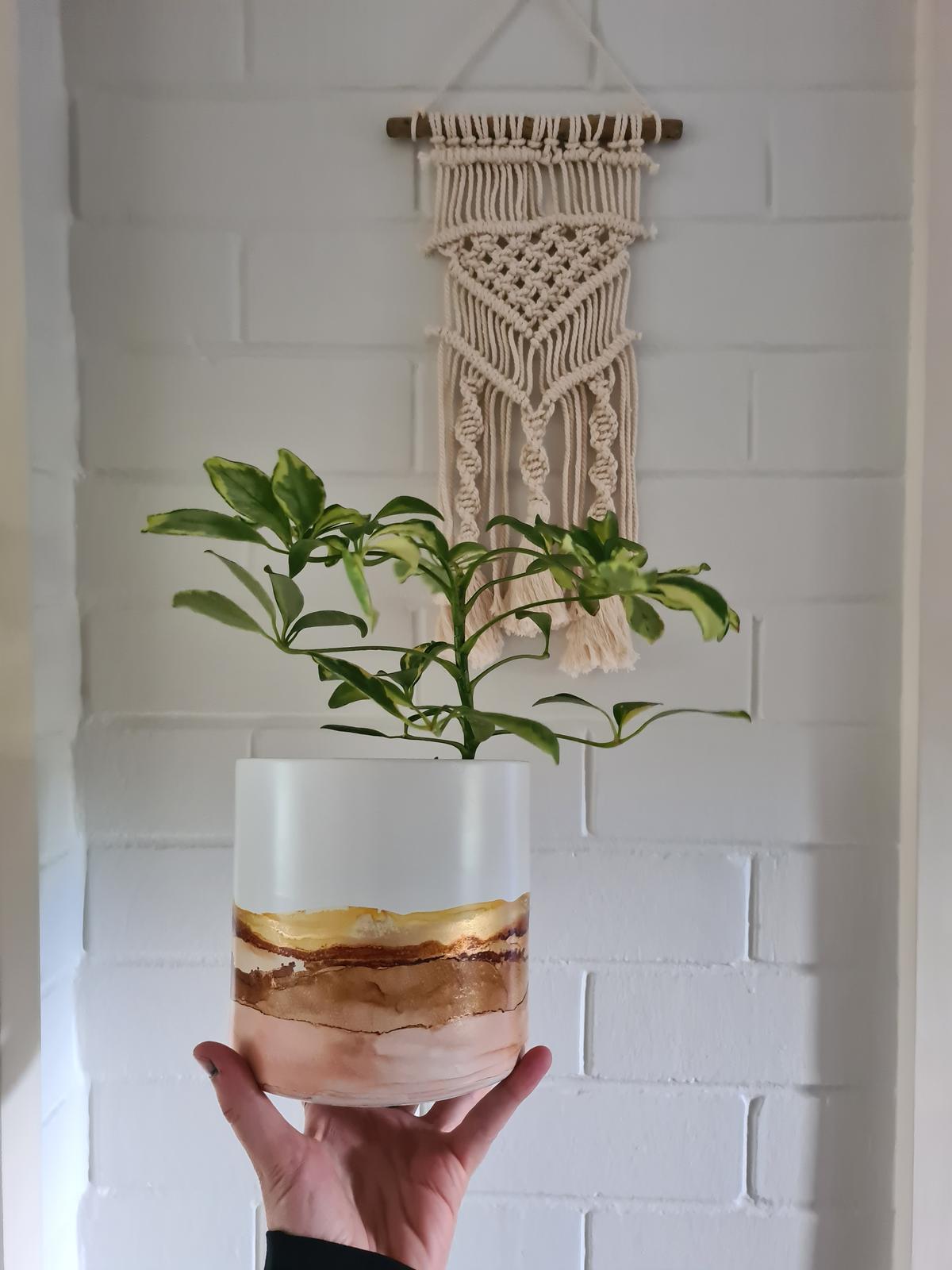 Product shot