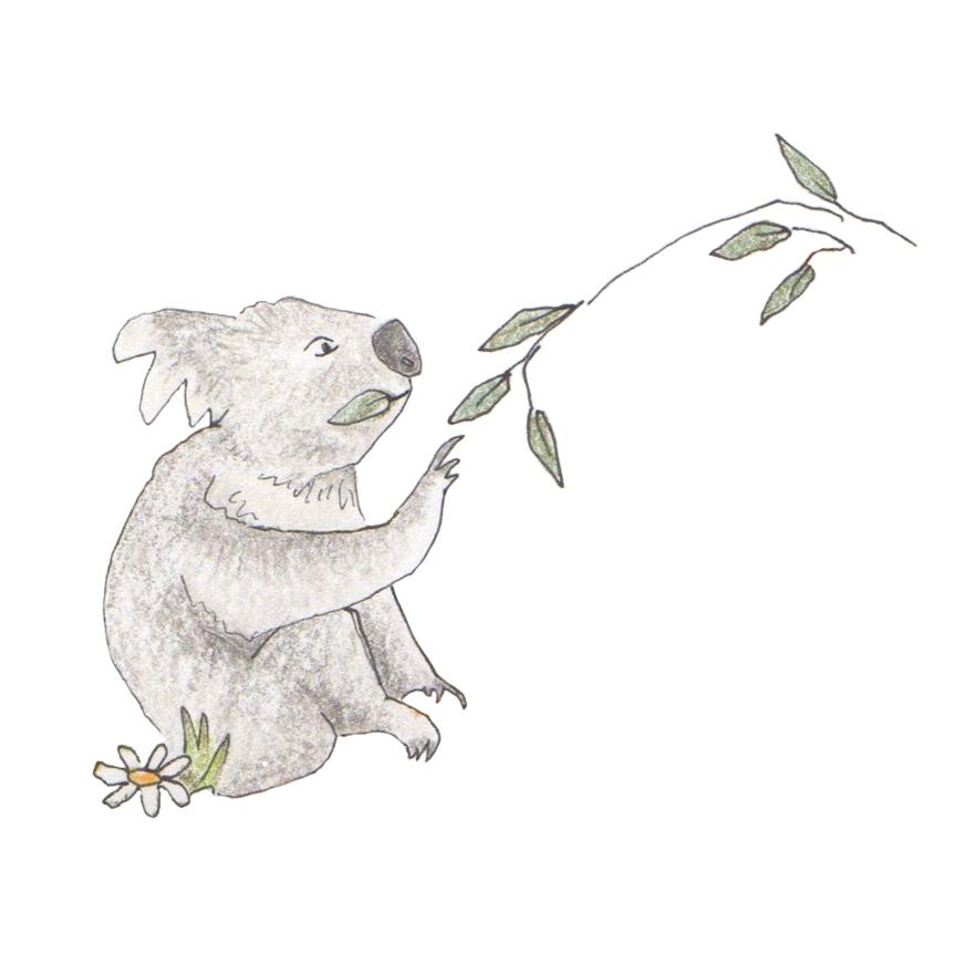 @margot.illustrations