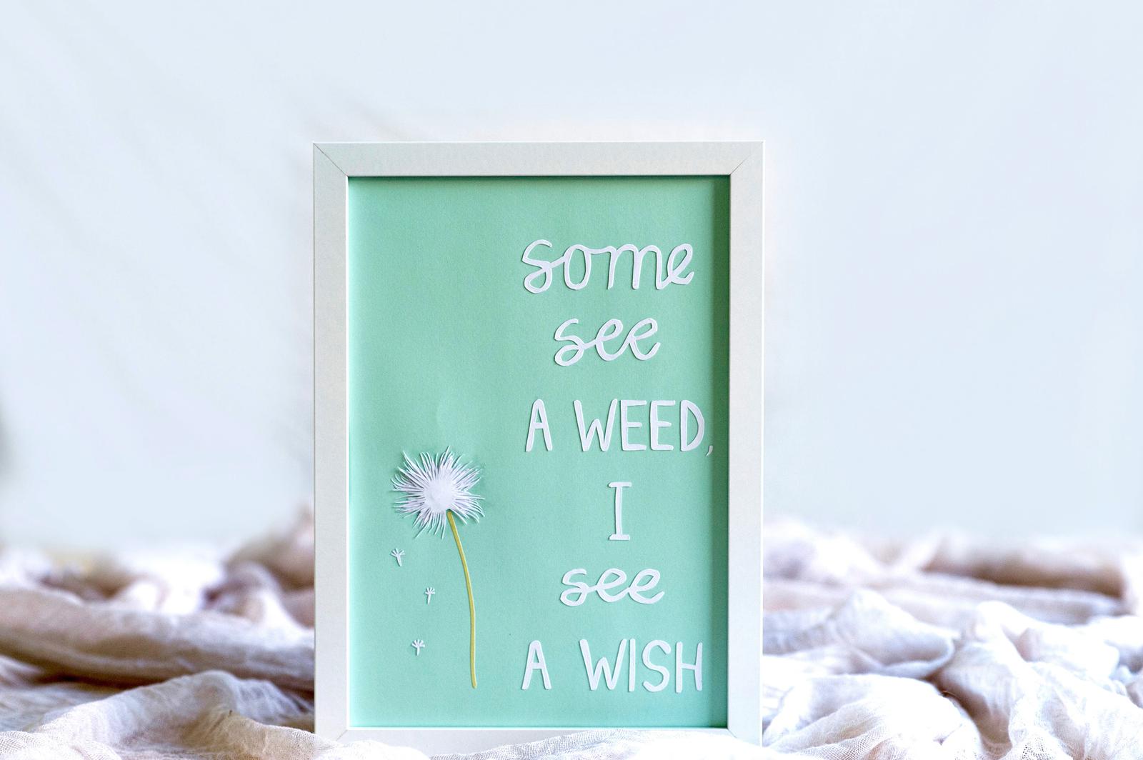Some see a weed, I see a wish
