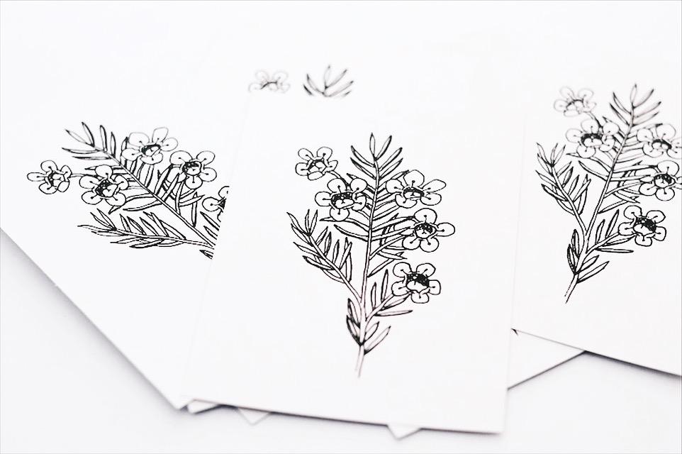 A6 Print - Geraldton Wax