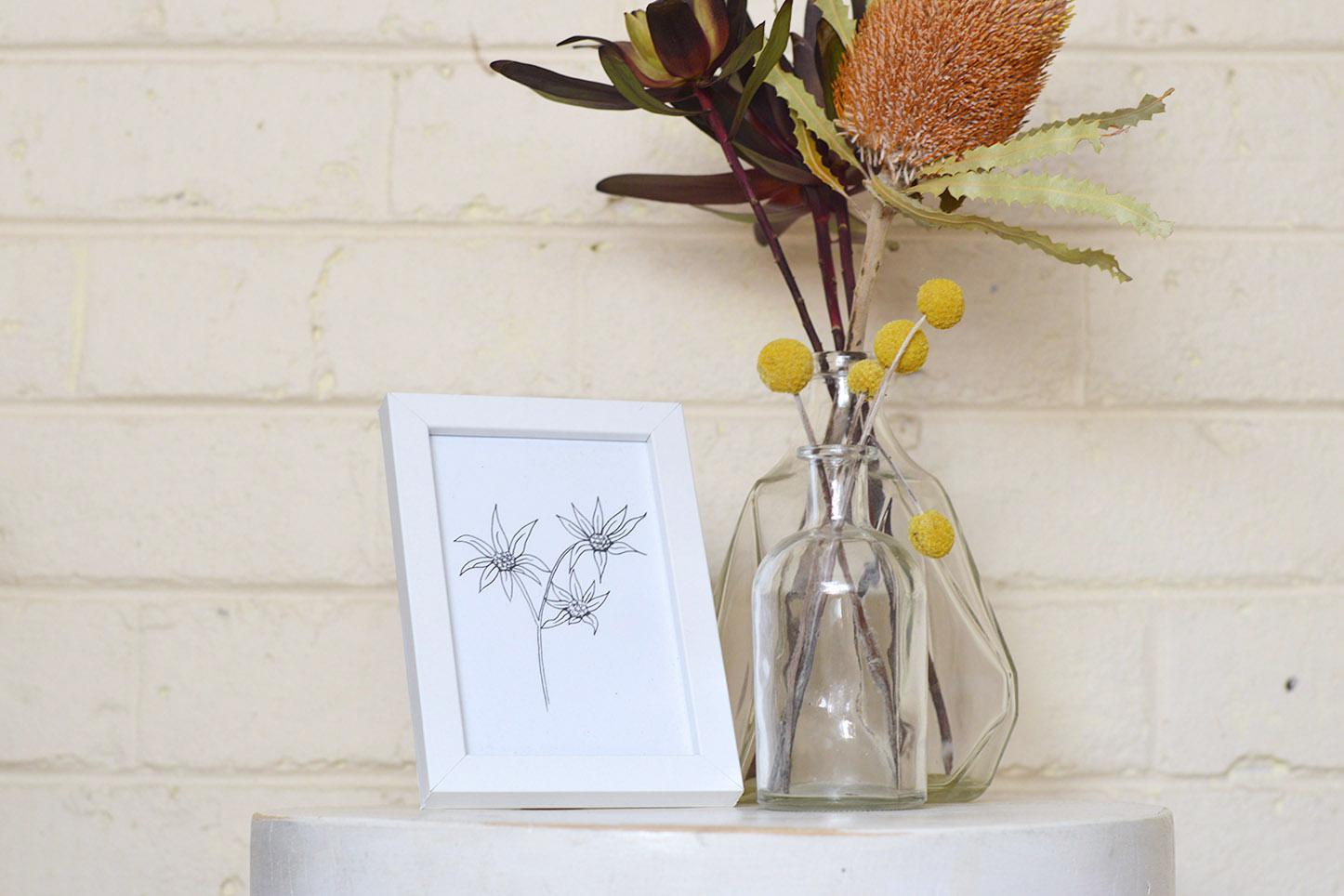 A6 Print - Flannel Flower