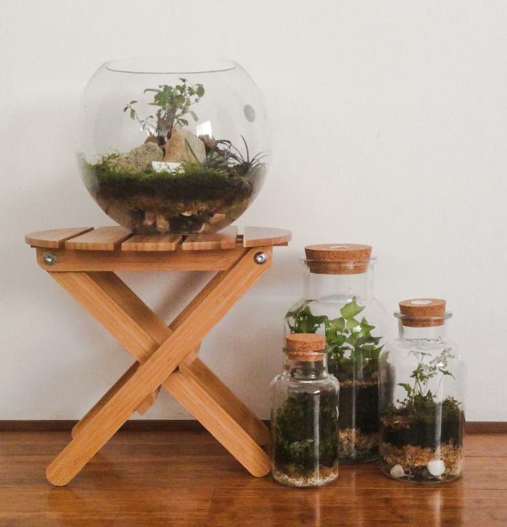 Closed terrariums