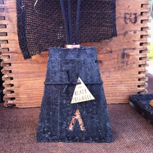 the black triangle