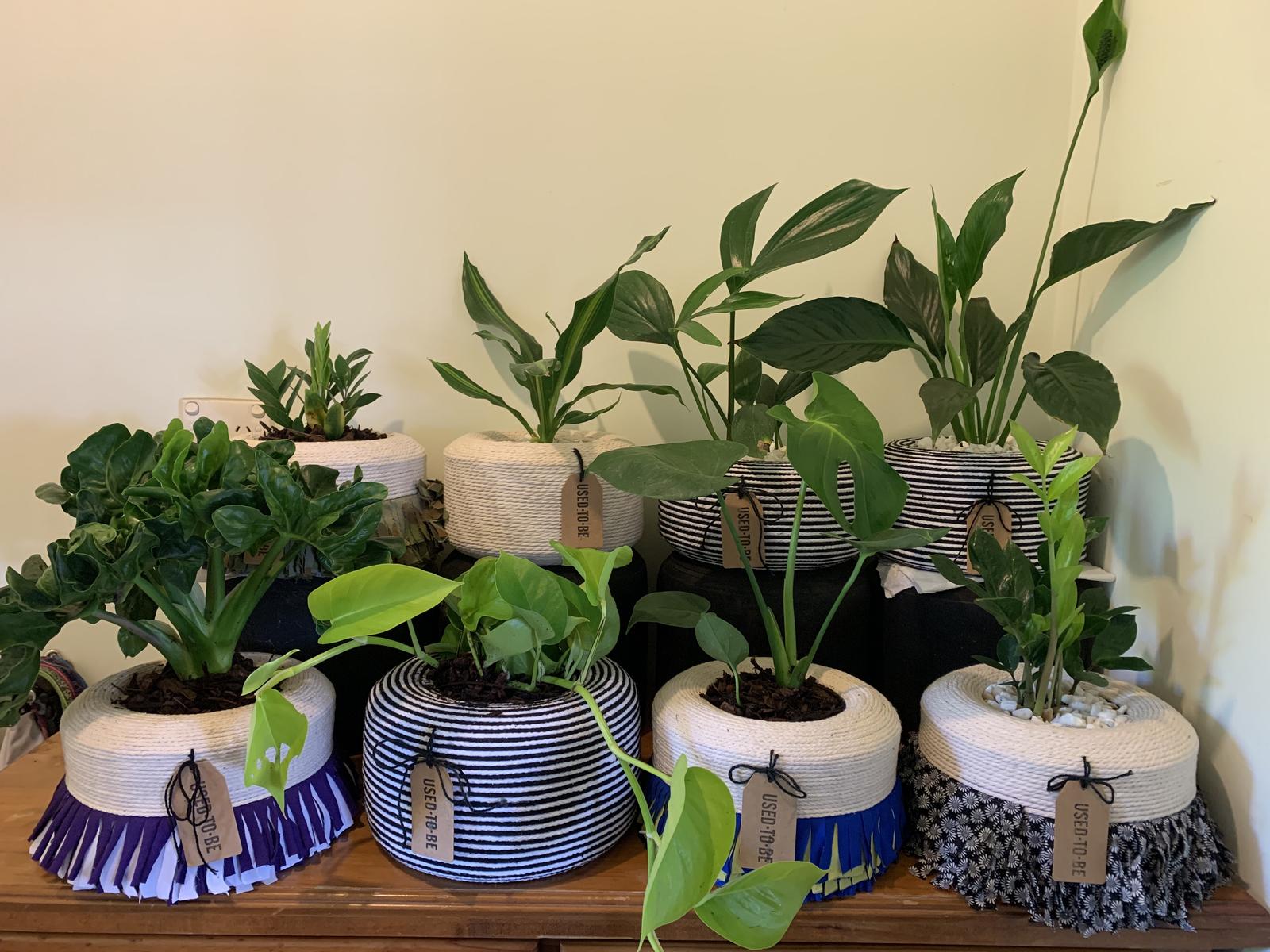 used to be tyre planters