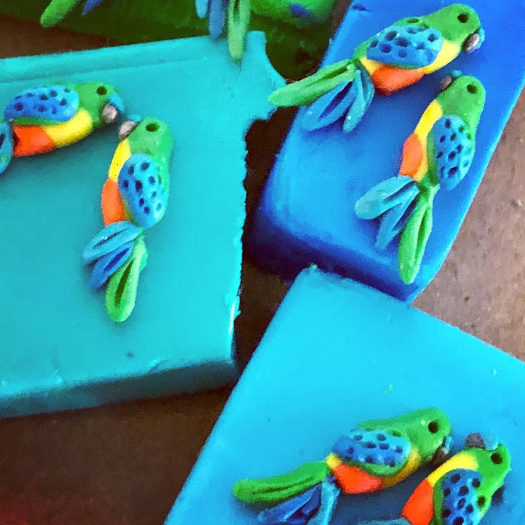 ORANGE BELLIED PARROT